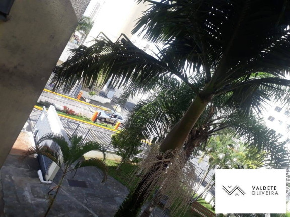 Imagem Apartamento com 2 Quartos à Venda, 55 m² em Palmeiras De São José - São José Dos Campos Imagem Apartamento com 2 Quartos à Venda, 55 m² em Palmeiras De São José - São José Dos Campos