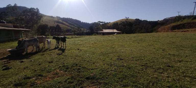 Imagem Chácara com 1 Quarto à Venda, 100 m² em Catuçaba - São Luíz Do Paraitinga Imagem Chácara com 1 Quarto à Venda, 100 m² em Catuçaba - São Luíz Do Paraitinga
