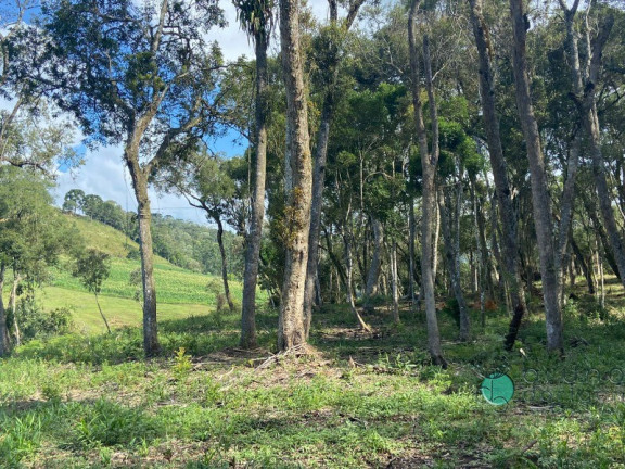 Imagem Imóvel à Venda, 5.000 m² em Interior - Alfredo Wagner Imagem Imóvel à Venda, 5.000 m² em Interior - Alfredo Wagner