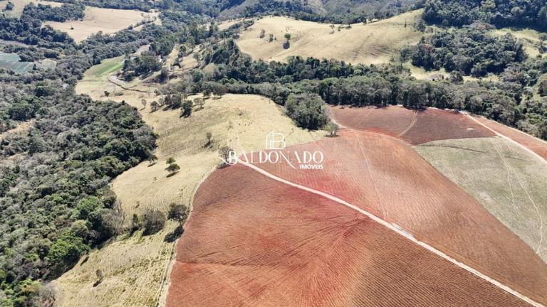 Imagem Imóvel com 5 Quartos à Venda, 726.000 m² em Centro - Munhoz Imagem Imóvel com 5 Quartos à Venda, 726.000 m² em Centro - Munhoz