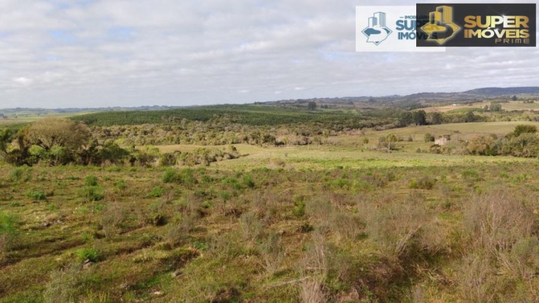 Imagem Imóvel com 2 Quartos à Venda, 580.000 m² em Centro - Canguçu