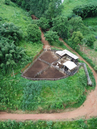 Imagem Fazenda à Venda, 15.500.000 m² em Centro - Palma
