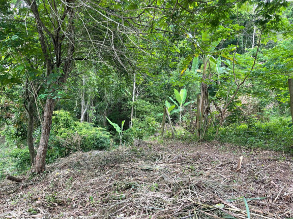 Imagem Terreno à Venda, 2.000 m² em Guaratiba - Rio De Janeiro