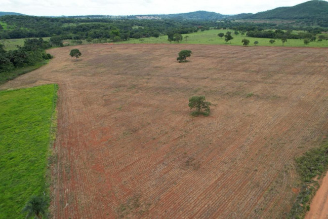 Imagem Fazenda à Venda, 60 m² em Zona Rural - Morrinhos Imagem Fazenda à Venda, 60 m² em Zona Rural - Morrinhos
