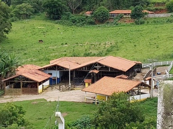 Imagem Fazenda à Venda, 1.000 m² em Campos De Cunha  - Cunha