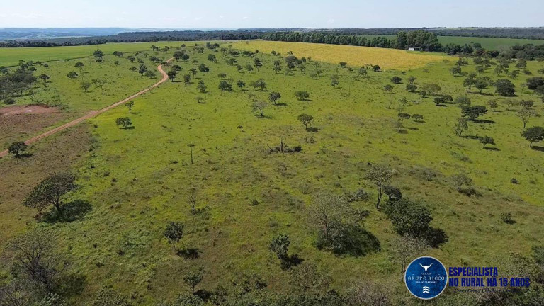 Imagem Chácara à Venda, 18 m² em Zona Rural - Bela Vista De Goiás Imagem Chácara à Venda, 18 m² em Zona Rural - Bela Vista De Goiás
