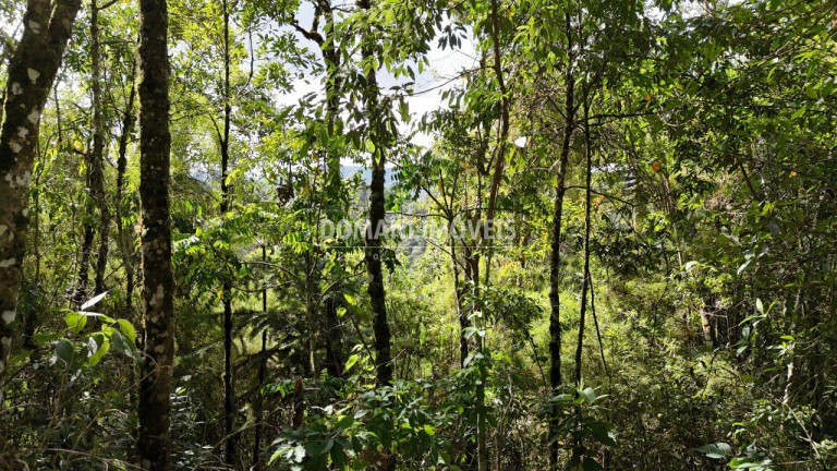 Imagem Terreno à Venda, 1.275 m² em Região Do Parque Pedra Do Baú - Campos Do Jordão Imagem Terreno à Venda, 1.275 m² em Região Do Parque Pedra Do Baú - Campos Do Jordão