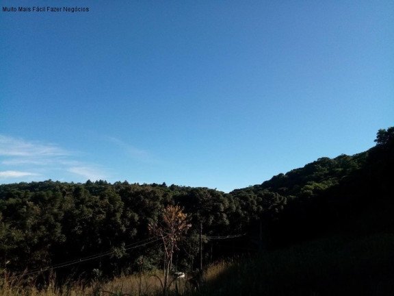 Imagem Terreno à Venda, 2 m² em Linha Imperial - Nova Petrópolis Imagem Terreno à Venda, 2 m² em Linha Imperial - Nova Petrópolis