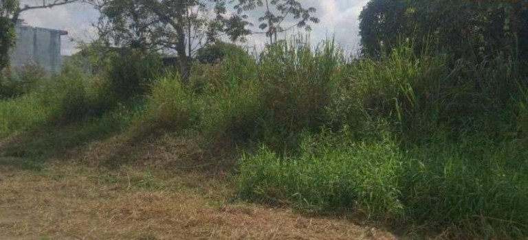 Imagem Terreno à Venda, 880 m² em Jardim Somar - Peruíbe