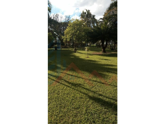 Imagem Imóvel com 3 Quartos à Venda, 280 m² em Campo Grande - Campinas