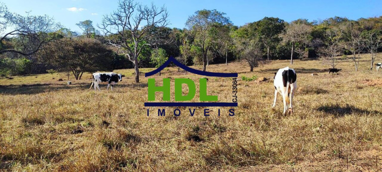 Imagem Chácara à Venda,  em Zona Rural - Hidrolândia