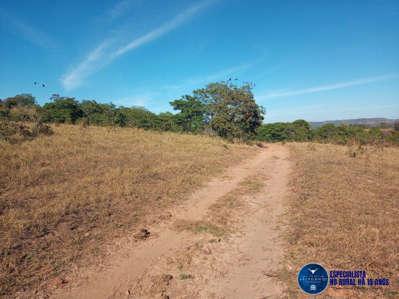 Imagem Fazenda à Venda, 38 m² em Zona Rural - Caiapônia Imagem Fazenda à Venda, 38 m² em Zona Rural - Caiapônia