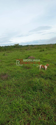 Imagem Fazenda à Venda, 1.411 m² em Poxoréo Imagem Fazenda à Venda, 1.411 m² em Poxoréo
