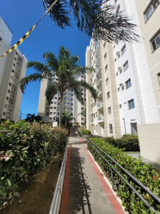 Imagem Apartamento com 2 Quartos para Alugar ou Temporada, 46 m² em Jardim Limoeiro - Serra
