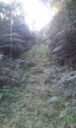 Imagem Terreno à Venda, 34 m² em Terra Preta - Mairiporã
