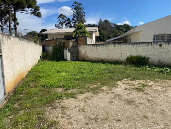 Imagem Terreno à Venda, 80 m² em Lamenha Grande - Almirante Tamandaré Imagem Terreno à Venda, 80 m² em Lamenha Grande - Almirante Tamandaré