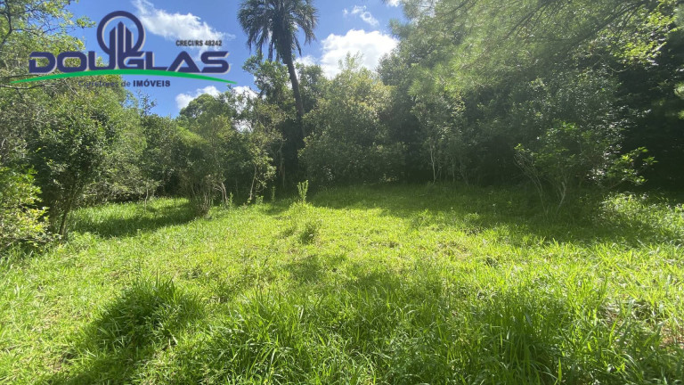 Imagem Terreno à Venda, 5.000 m² em Viamão