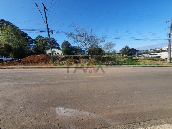 Imagem Terreno à Venda, 420 m² em Morro Alto - Guarapuava Imagem Terreno à Venda, 420 m² em Morro Alto - Guarapuava