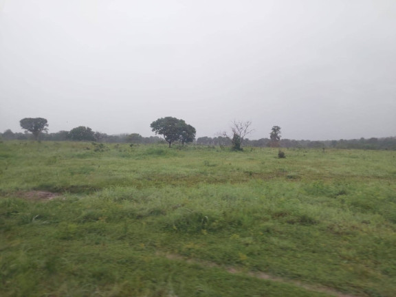 Imagem Fazenda à Venda, 107 m² em Zona Rural - Alvorada Do Norte Imagem Fazenda à Venda, 107 m² em Zona Rural - Alvorada Do Norte