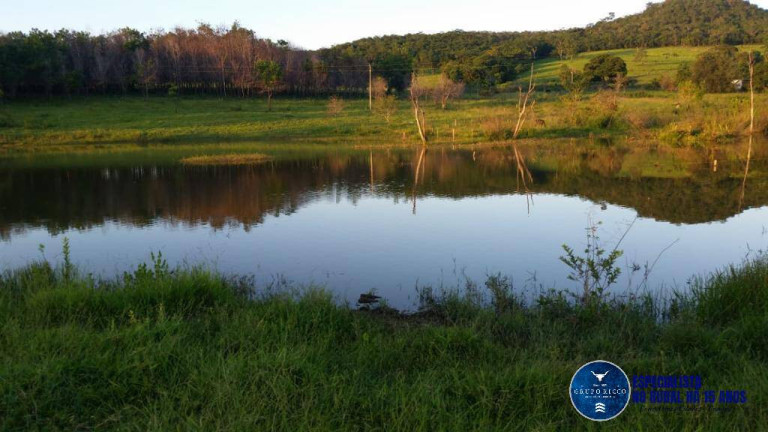 Imagem Chácara à Venda, 5 m² em Zona Rural - Santa Cruz De Goiás Imagem Chácara à Venda, 5 m² em Zona Rural - Santa Cruz De Goiás