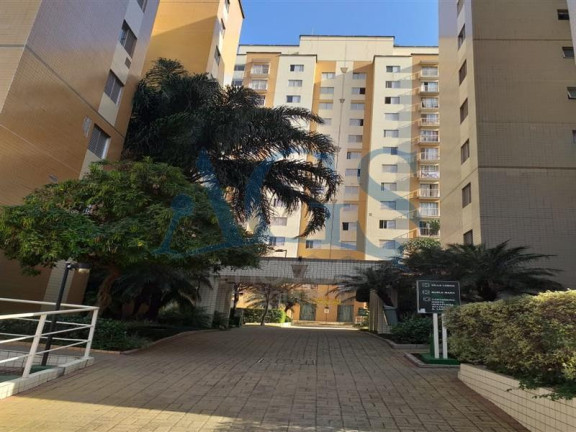 Imagem Apartamento com 3 Quartos à Venda, 62 m² em Cambuci - São Paulo