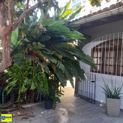 Imagem Casa com 4 Quartos à Venda, 300 m² em Jardim Camburi - Vitória Imagem Casa com 4 Quartos à Venda, 300 m² em Jardim Camburi - Vitória