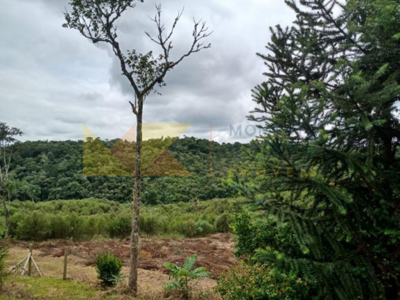 Imagem Fazenda à Venda, 64.288 m² em Barra Avencal - Rio Dos Cedros