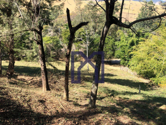 Imagem Fazenda à Venda, 417.500 m² em área Rural De Itajubá - Itajubá