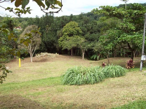 Imagem Imóvel com 4 Quartos à Venda, 68.000 m² em Centro - Morretes Imagem Imóvel com 4 Quartos à Venda, 68.000 m² em Centro - Morretes