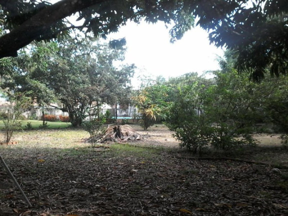 Imagem Imóvel com 4 Quartos à Venda, 4.200 m² em Cágado - Maracanaú Imagem Imóvel com 4 Quartos à Venda, 4.200 m² em Cágado - Maracanaú