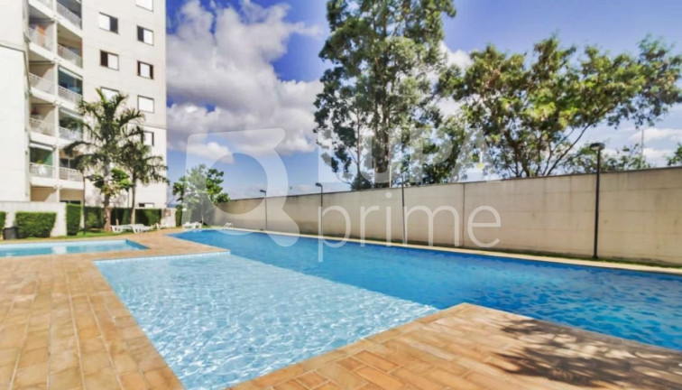 Imagem Apartamento com 2 Quartos à Venda, 49 m² em Vila Endres - Guarulhos Imagem Apartamento com 2 Quartos à Venda, 49 m² em Vila Endres - Guarulhos