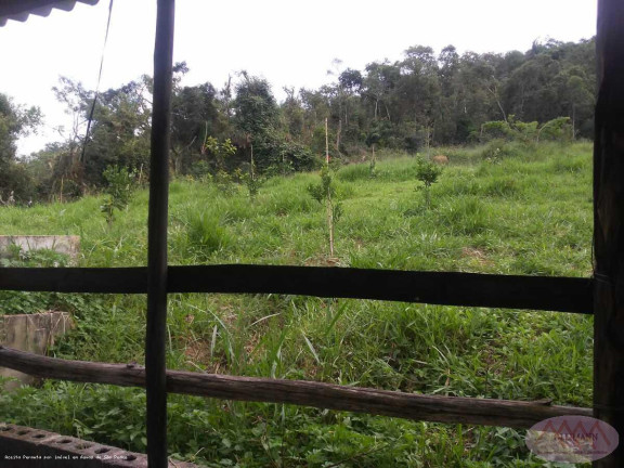 Imagem Imóvel com 3 Quartos à Venda, 53.776 m² em Parateí Do Meio - Jacareí Imagem Imóvel com 3 Quartos à Venda, 53.776 m² em Parateí Do Meio - Jacareí