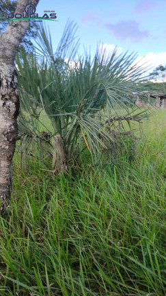 Imagem Terreno à Venda, 2.200 m² em Viamão Imagem Terreno à Venda, 2.200 m² em Viamão