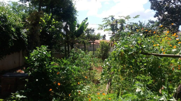Imagem Terreno à Venda, 865 m² em Setor Habitacional Taquari (lago Norte) - Brasília