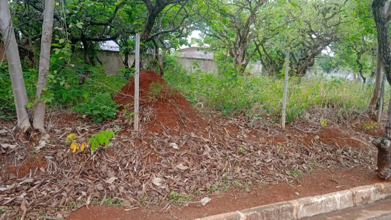 Imagem Terreno à Venda, 1.000 m² em Joá - Lagoa Santa