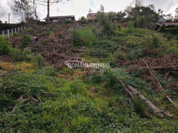 Imagem Terreno à Venda, 1.110 m² em Região De Descansópolis - Campos Do Jordão Imagem Terreno à Venda, 1.110 m² em Região De Descansópolis - Campos Do Jordão