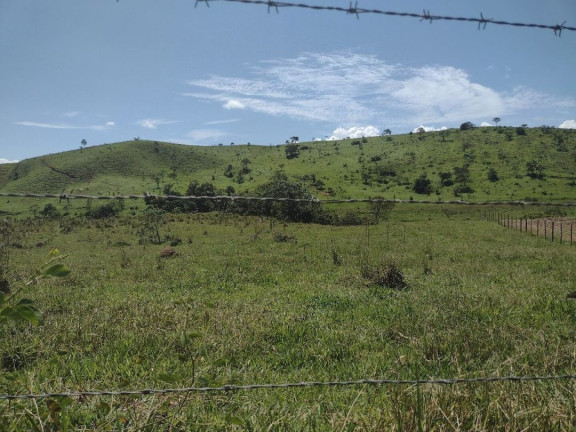 Imagem Fazenda à Venda, 100 m² em Canas - Canas Imagem Fazenda à Venda, 100 m² em Canas - Canas