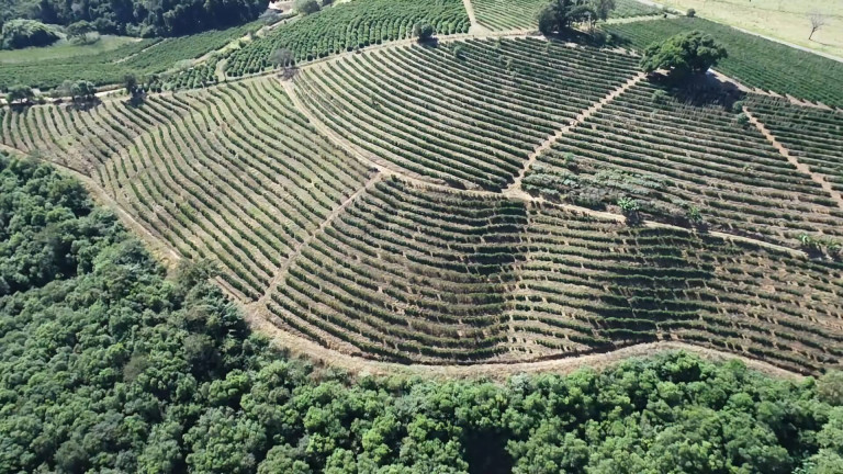 Imagem Fazenda à Venda, 31 m² em Poços De Caldas Imagem Fazenda à Venda, 31 m² em Poços De Caldas