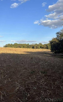 Imagem Fazenda à Venda, 710.000 m² em Perdizes - Perdizes