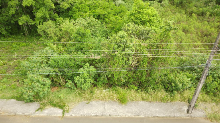 Imagem Terreno à Venda, 525 m² em Jardim - Concórdia Imagem Terreno à Venda, 525 m² em Jardim - Concórdia