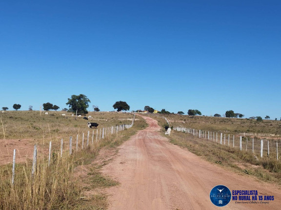 Imagem Fazenda à Venda, 121 m² em Zona Rural - Torixoréu Imagem Fazenda à Venda, 121 m² em Zona Rural - Torixoréu
