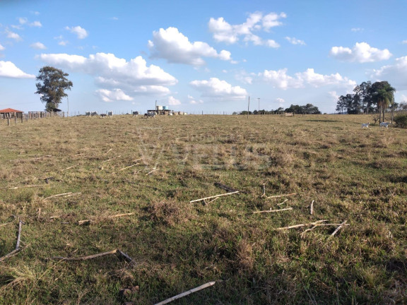 Imagem Imóvel à Venda, 242.000 m² em Santa Cruz Dos Matos - Itapetininga Imagem Imóvel à Venda, 242.000 m² em Santa Cruz Dos Matos - Itapetininga