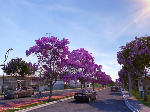 Imagem Terreno à Venda, 500.000 m² em Florada Raizes - Cotia Imagem Terreno à Venda, 500.000 m² em Florada Raizes - Cotia