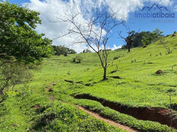 Imagem Chácara com 10 Quartos à Venda, 245.000 m² em Centro - Piracaia