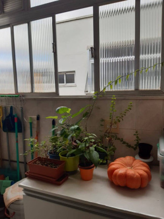 Imagem Apartamento com 3 Quartos à Venda, 90 m² em Jabaquara - São Paulo Imagem Apartamento com 3 Quartos à Venda, 90 m² em Jabaquara - São Paulo