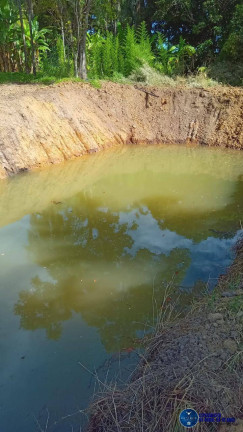 Imagem Chácara à Venda, 1 m² em Zona Rural - Guapó Imagem Chácara à Venda, 1 m² em Zona Rural - Guapó