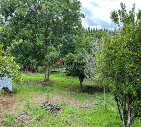 Imagem Imóvel com 1 Quarto à Venda, 1.895 m² em Depois Do Centro - Ibiúna Imagem Imóvel com 1 Quarto à Venda, 1.895 m² em Depois Do Centro - Ibiúna