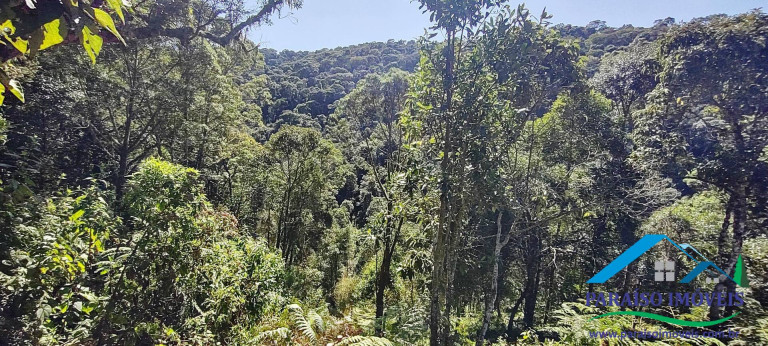 Imagem Chácara à Venda, 100 m² em Centro - Gonçalves