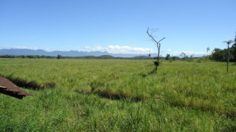 Imagem Imóvel à Venda, 250.000 m² em Santa Catarina - Joinville