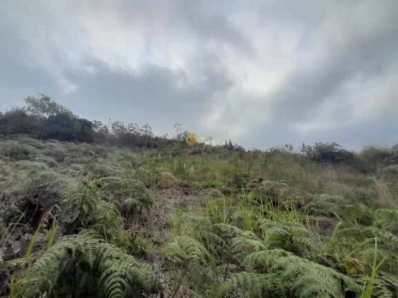 Imagem Terreno à Venda, 364 m² em Albuquerque - Teresópolis Imagem Terreno à Venda, 364 m² em Albuquerque - Teresópolis
